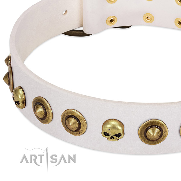 Trendy studs on full grain natural leather collar for your canine