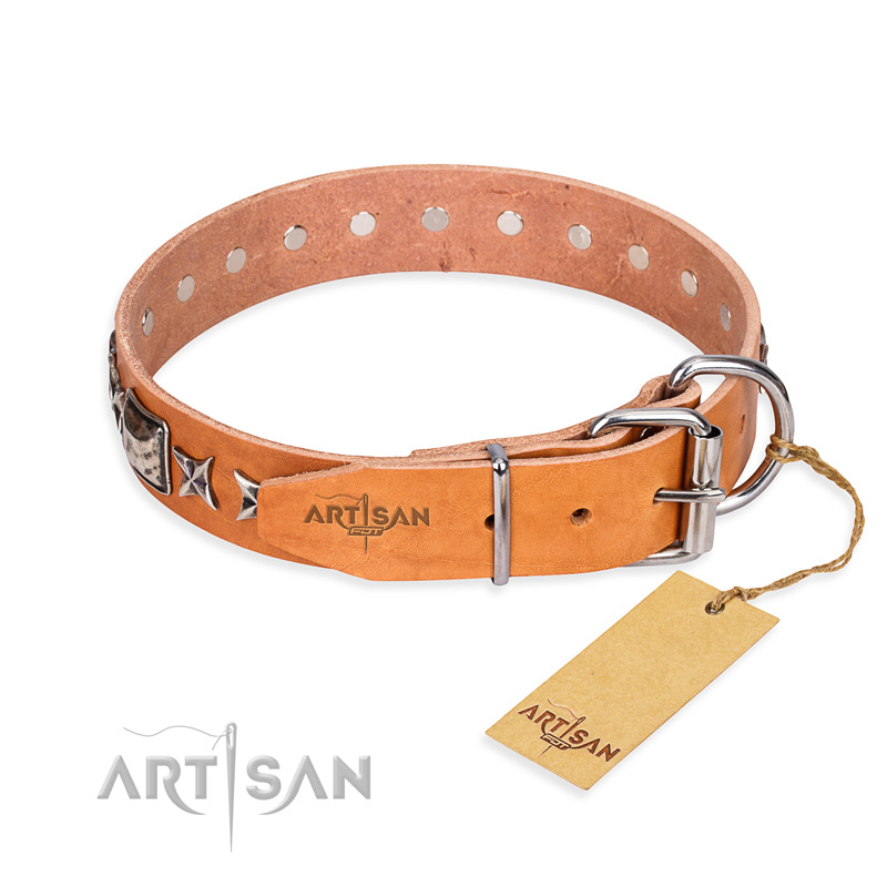Dog collars for female dogs deals
