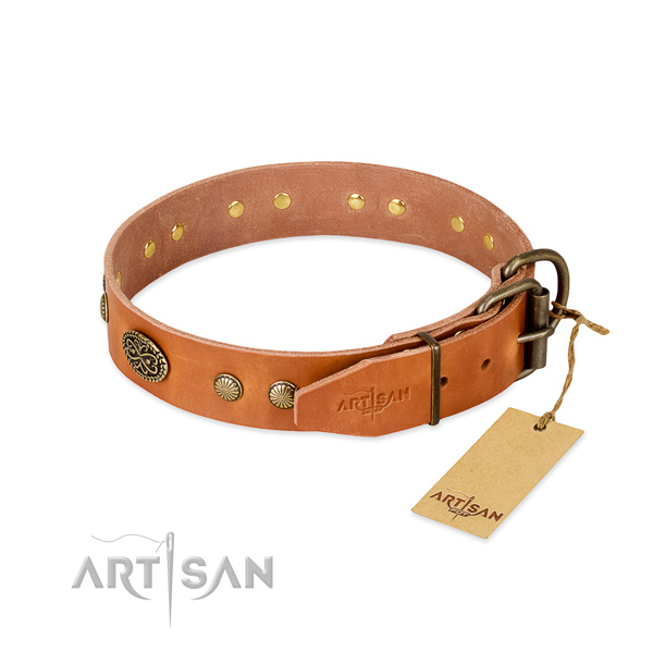 Corrosion proof adornments on full grain genuine leather dog collar for your doggie