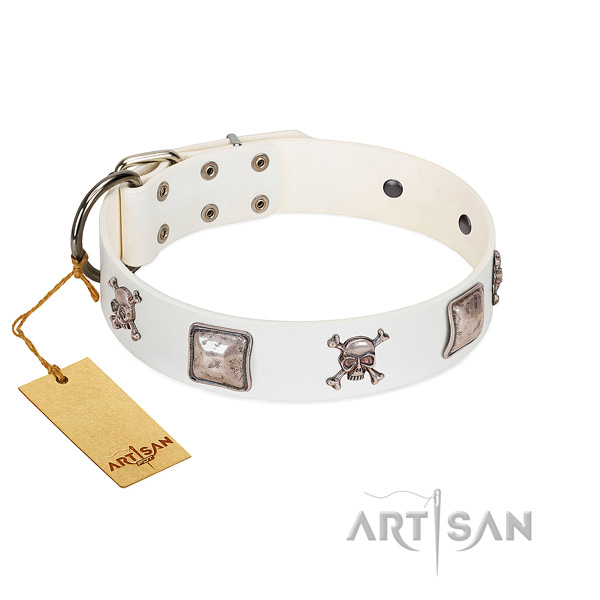 Adorned dog collar handcrafted for your beautiful doggie