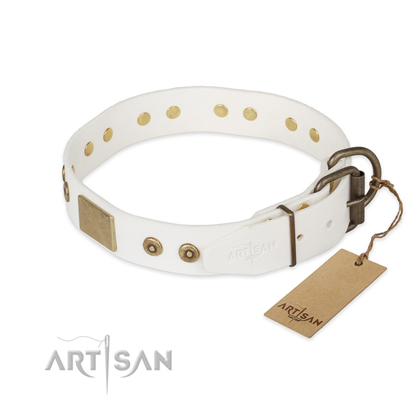 Full grain natural leather dog collar with corrosion proof fittings and embellishments