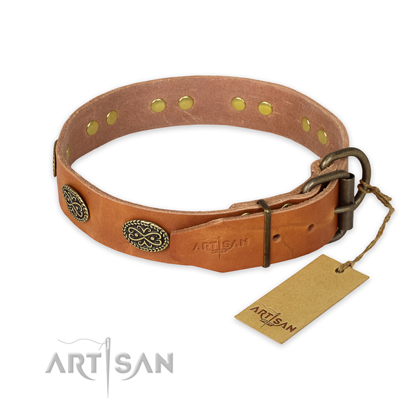 Durable traditional buckle on full grain natural leather collar for basic training your dog