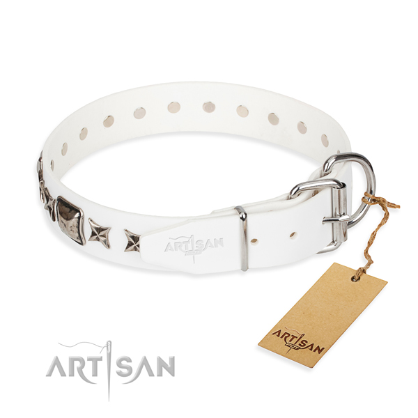 Top notch studded dog collar of natural leather