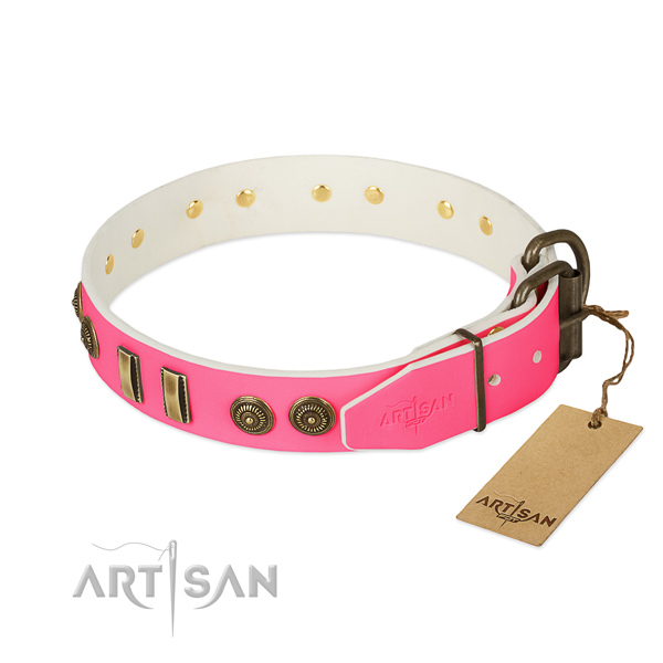 Rust-proof embellishments on full grain natural leather dog collar for your pet