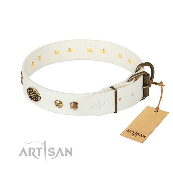 Corrosion proof D-ring on natural leather dog collar for your dog