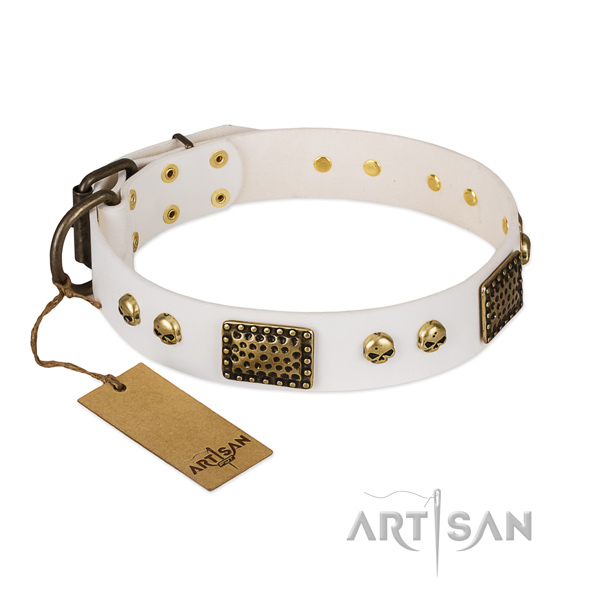 Rust-proof buckle on everyday use dog collar