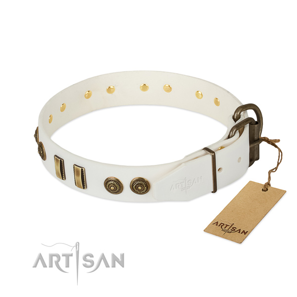 Reliable adornments on natural leather dog collar for your canine