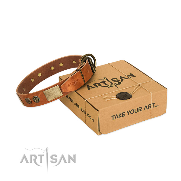 Rust resistant hardware on full grain natural leather dog collar for walking