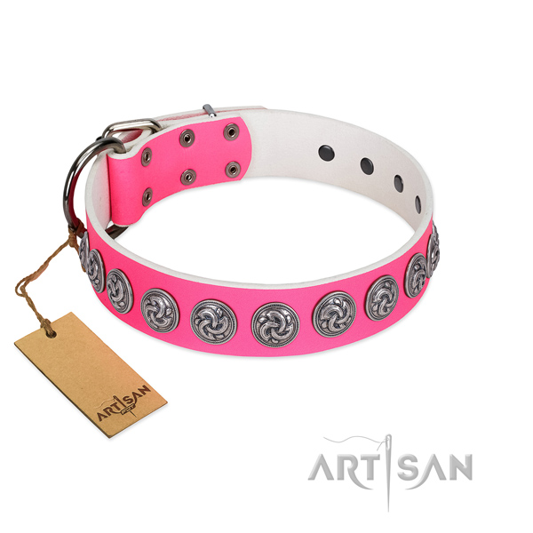 Flexible full grain leather dog collar for your stylish canine