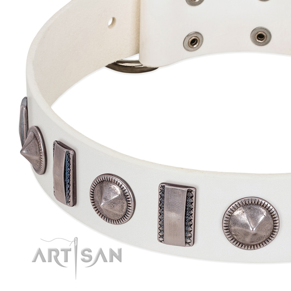 Impressive studded full grain natural leather dog collar for stylish walking