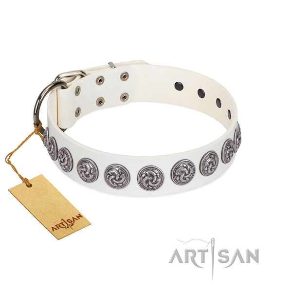 Soft to touch full grain natural leather dog collar with reliable fittings