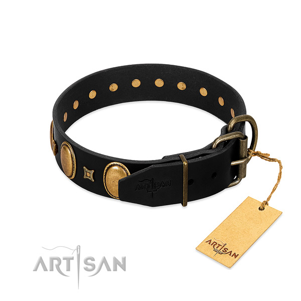 Durable embellishments on daily walking dog collar