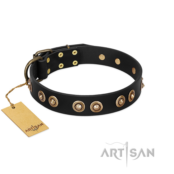 Strong D-ring on natural genuine leather dog collar for your dog