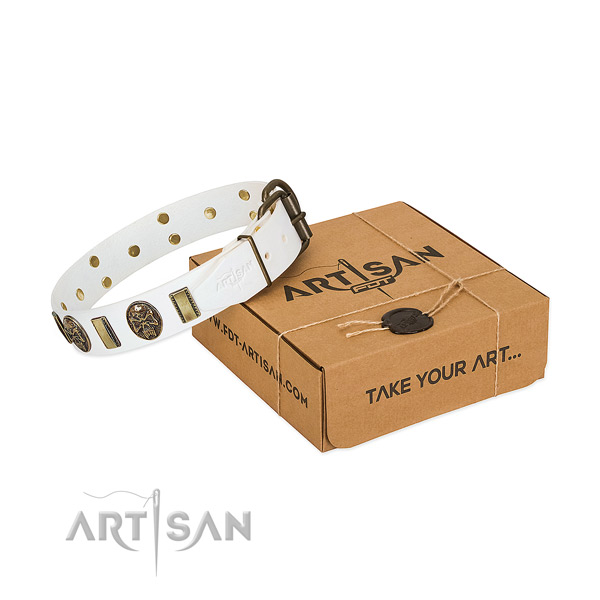 Strong fittings on full grain natural leather dog collar for walking