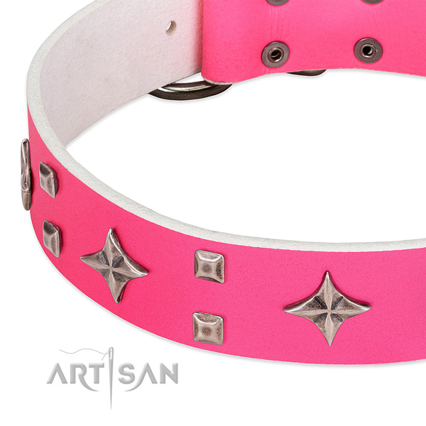 Fancy walking top rate leather dog collar with embellishments