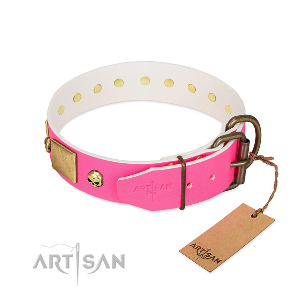 Rust-proof studs on best quality full grain natural leather dog collar