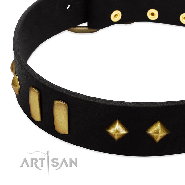 Flexible full grain natural leather dog collar with significant embellishments