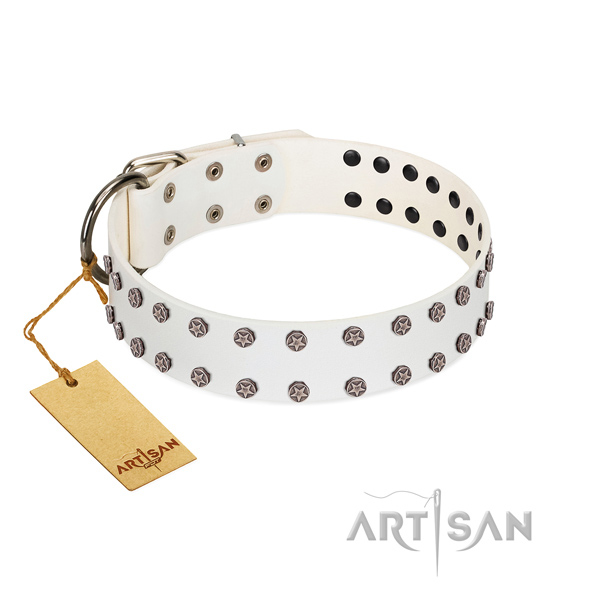 Awesome natural leather dog collar