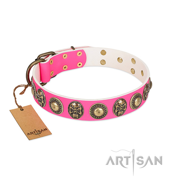 Easy to adjust full grain genuine leather dog collar for daily walking your canine