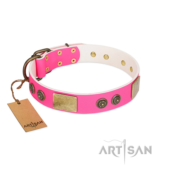 Extraordinary full grain natural leather dog collar for daily use