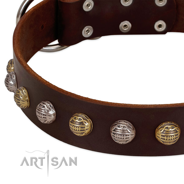 Full grain leather dog collar with corrosion proof fittings and decorations