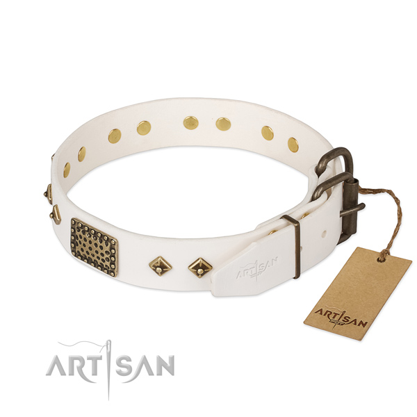 Full grain natural leather dog collar with durable fittings and adornments