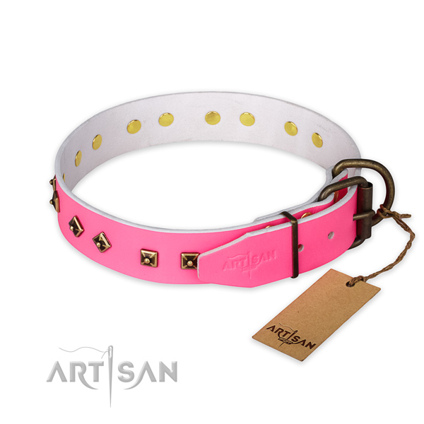 Rust resistant fittings on full grain natural leather collar for stylish walking your dog