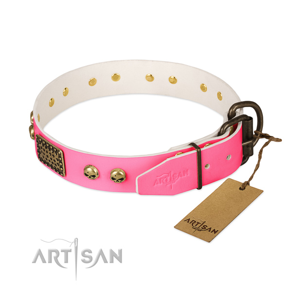 Rust resistant fittings on walking dog collar