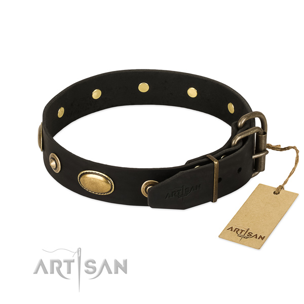 Reliable embellishments on full grain natural leather dog collar for your doggie