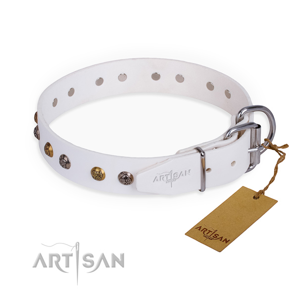 Full grain natural leather dog collar with top notch rust-proof studs