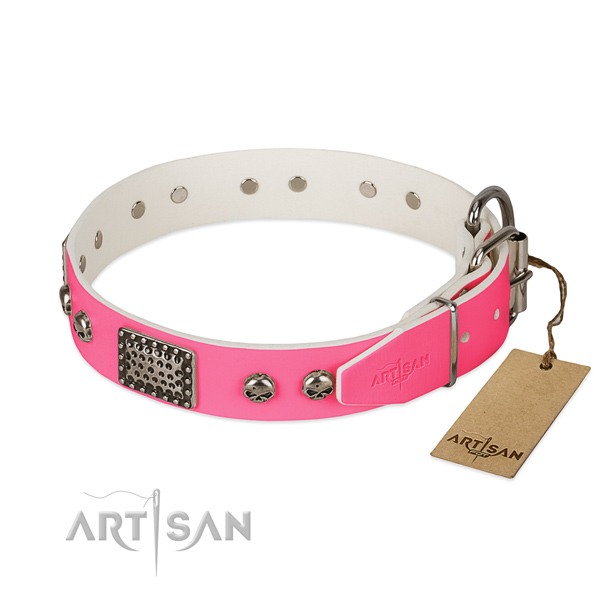 Durable traditional buckle on everyday use dog collar
