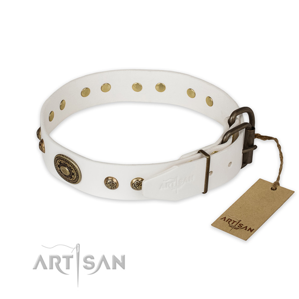 Rust resistant D-ring on full grain natural leather collar for basic training your canine