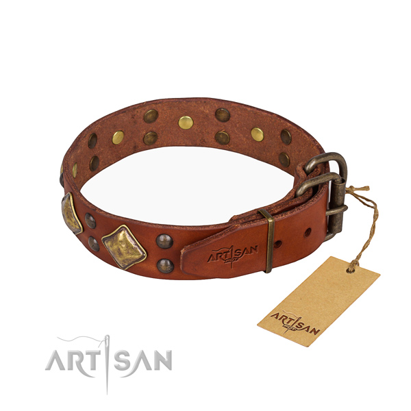 Leather dog collar with unusual reliable adornments