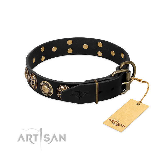 Rust resistant D-ring on easy wearing dog collar