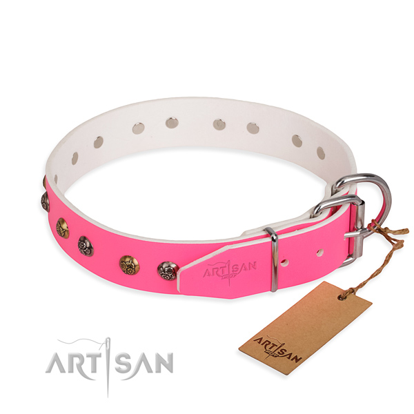 Leather dog collar with stylish strong embellishments