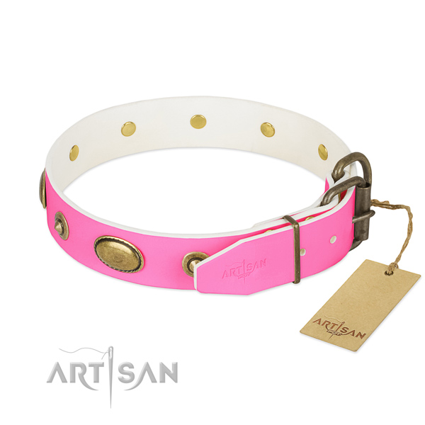 Rust resistant decorations on full grain natural leather dog collar for your four-legged friend