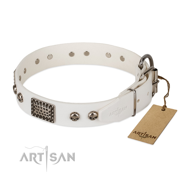 Corrosion resistant D-ring on everyday use dog collar