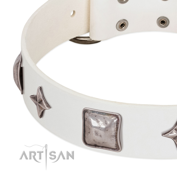 Awesome full grain leather dog collar with reliable embellishments