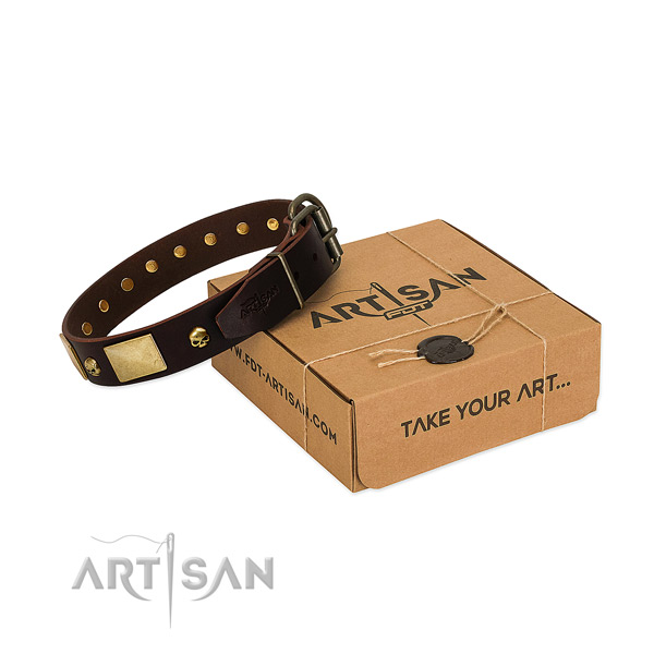 Soft to touch leather collar with corrosion proof adornments for your pet