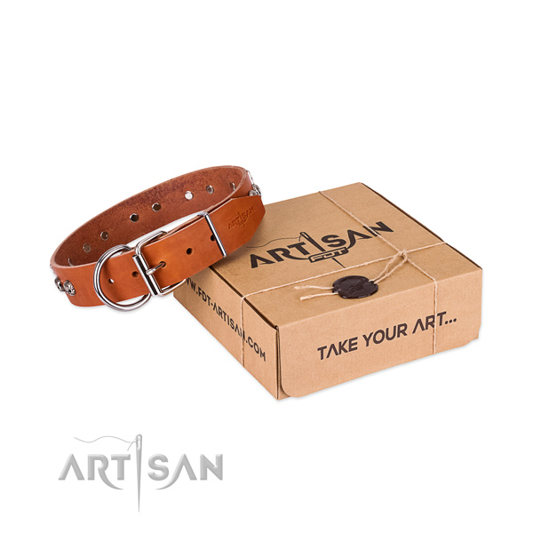Rust resistant buckle on dog collar for daily walking