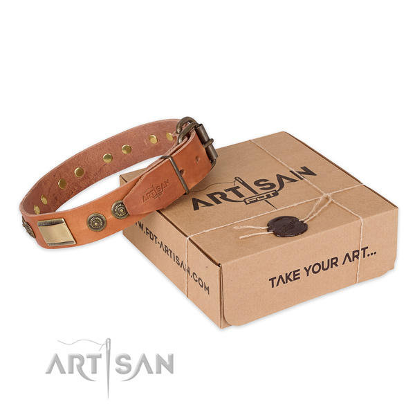 Reliable fittings on full grain genuine leather dog collar for basic training