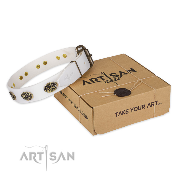 Rust-proof fittings on genuine leather dog collar for stylish walking