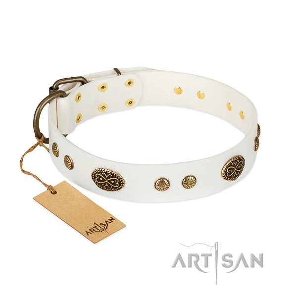 Corrosion proof decorations on genuine leather dog collar for your four-legged friend
