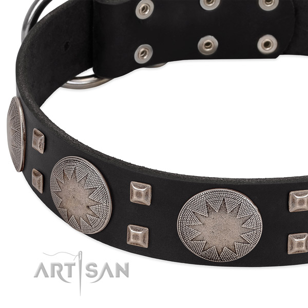 Comfortable wearing full grain natural leather dog collar