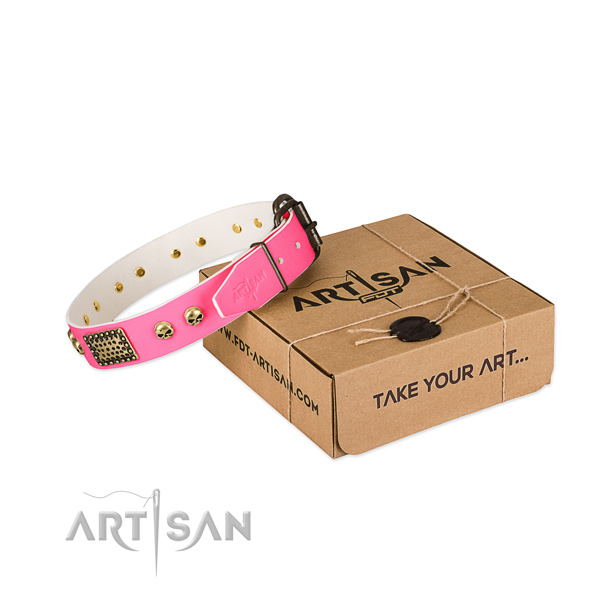 Corrosion proof traditional buckle on dog collar for comfy wearing