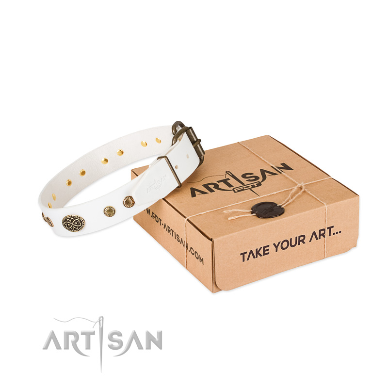 Corrosion proof traditional buckle on full grain natural leather dog collar for your canine
