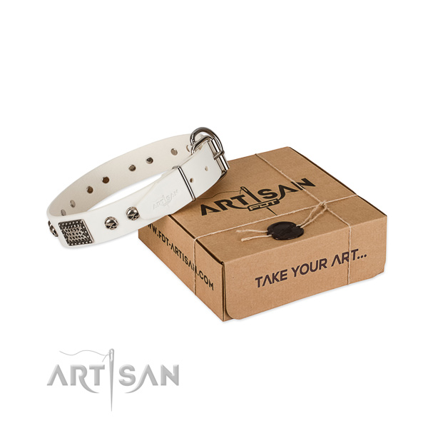 Corrosion resistant adornments on dog collar for everyday walking