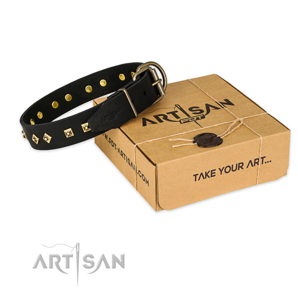Rust-proof fittings on genuine leather dog collar for stylish walking