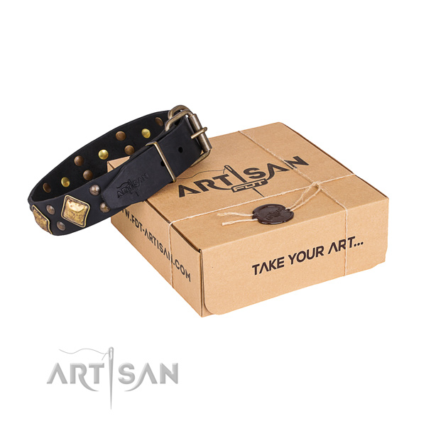 Everyday use dog collar with Designer rust-proof decorations