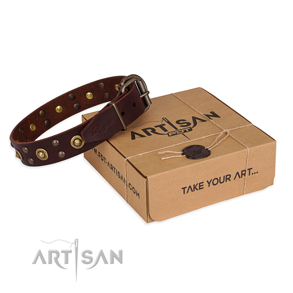 Corrosion proof fittings on genuine leather collar for your handsome dog